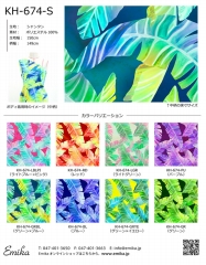 �ϥ磻�������ϥ���ץ� �Хʥʥ꡼���� KH-674